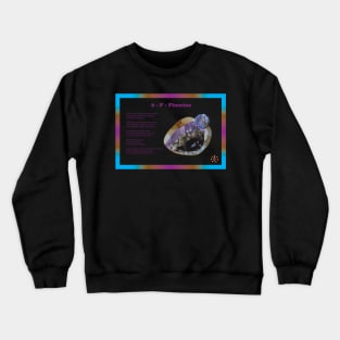 9 - F - Fluorine: Poetry Crewneck Sweatshirt